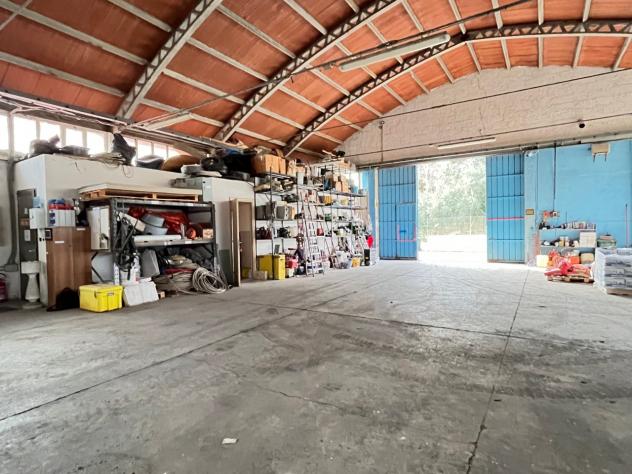 Industriale/Artigianale in vendita a Montescudaio - Foto 2