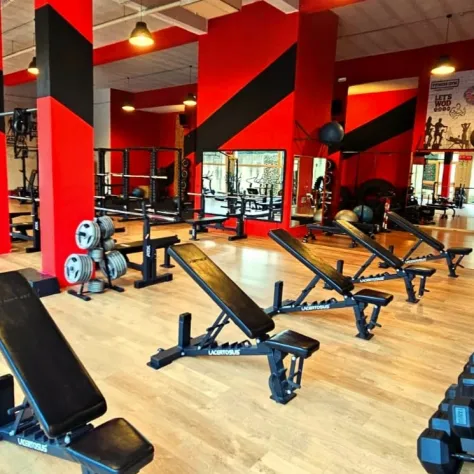 ISTRUTTORE CALISTHENICS