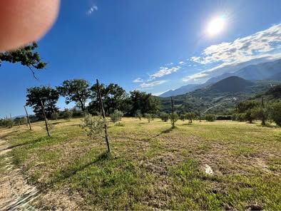 Vendesi azienda agricola biologica con uliveto, querce e casale – Altomonte (CS) - Foto 8
