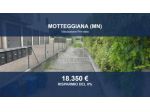 Immobile in asta di 14607 m² in vendita a Motteggiana