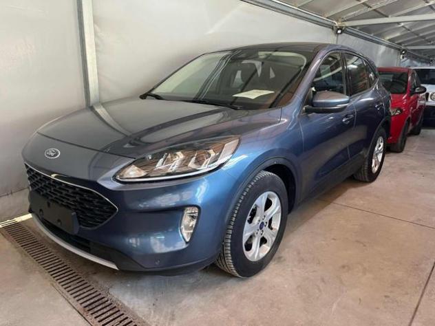 FORD Kuga 1.5 EcoBlue 120 CV 2WD rif. 23830740