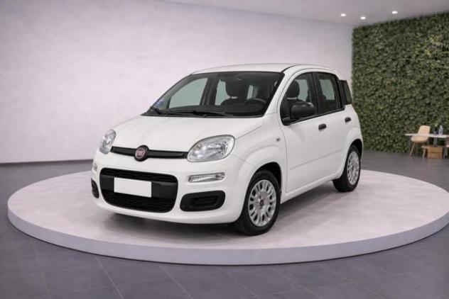 FIAT Panda III 1.0 FireFly 70Cv S&S Hybrid Easy rif. 23909664