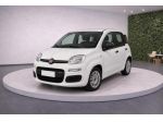 FIAT Panda III 1.0 FireFly 70Cv S&S Hybrid Easy rif. 23909664