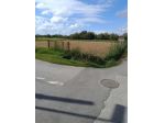 Annesso agricolo in vendita a Capezzano Pianore - Camaiore 1500 mq  Rif: 1365947