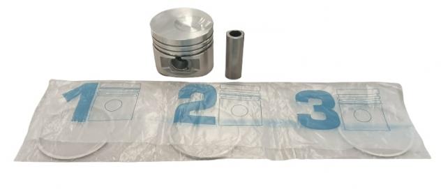 ED006501429-S PISTONE SERIE SEGMENTI 1,0 MOTORE LOMBARDINI LDW502
