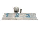 ED006501429-S PISTONE   SERIE SEGMENTI  1,0 MOTORE LOMBARDINI LDW502