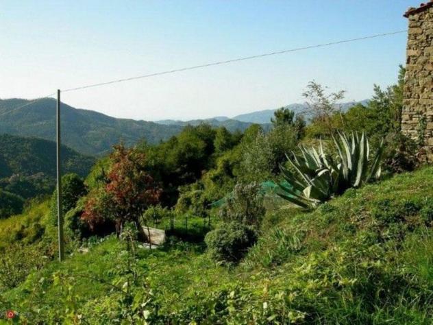 Rustico - Foto 6