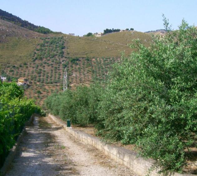 Immobile in asta di 3 m² in vendita a Belmonte Mezzagno - Foto 6