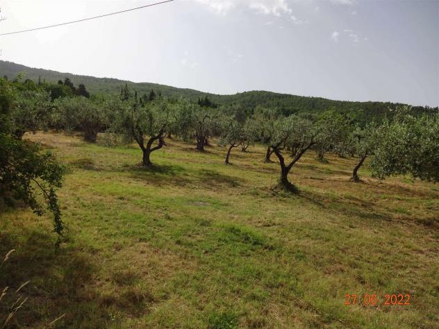 Terreno agricolo in Vendita in zona LECCIO con giardino - Foto 6