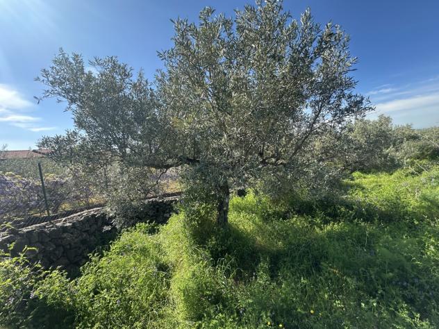Agricolo in vendita a Misterbianco - Foto 3