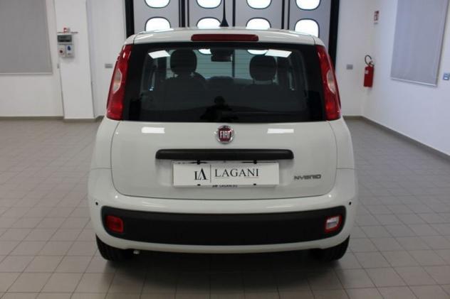 FIAT Panda 1.0 FireFly S&S Hybrid Icon - Foto 5
