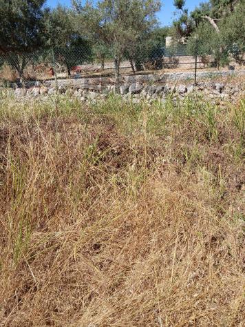 Terreno Edificabile in vendita a Siracusa, Tremmilia - Foto 4