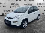 FIAT Panda Panda 1.0 Firefly Hybrid 70cv Pop