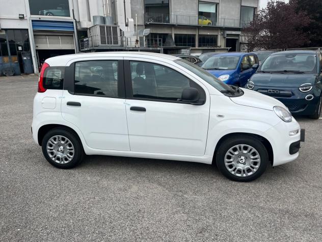 FIAT Pandina Pandina 1.0 firefly hybrid Icon s&s 65cv - Foto 5