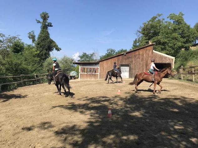 Lezioni di equitazione - Foto 2