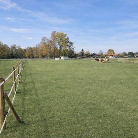 Complesso immobiliare adibito ad Azienda Agricola con Centro Ippico - Foto 7