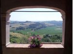 Appartamento in affitto a Peccioli 90 mq  Rif: 1211463