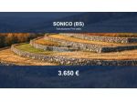 Immobile in asta di 7060 m² in vendita a Sonico