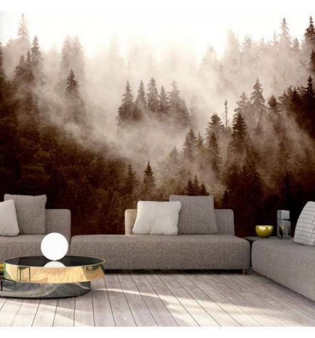 Fotomurale Adesivo Con La Nebbia Nel Bosco Di Sera Arredalacasa