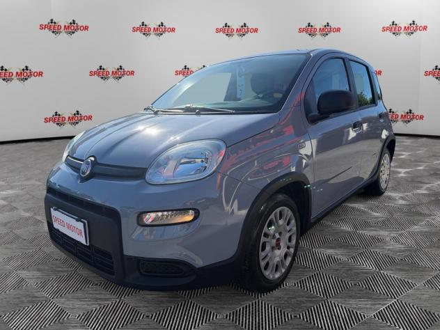 FIAT Panda Panda 1.0 firefly hybrid 70cv, CARPLAY, PRONTA CONSEGNA! - Foto 4