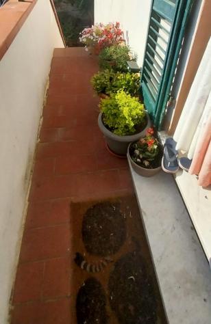 Appartamento in vendita a Calci 110 mq Rif: 1422022 - Foto 7