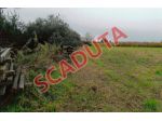 Immobile in asta di 9 m² in vendita a Marcallo con Casone