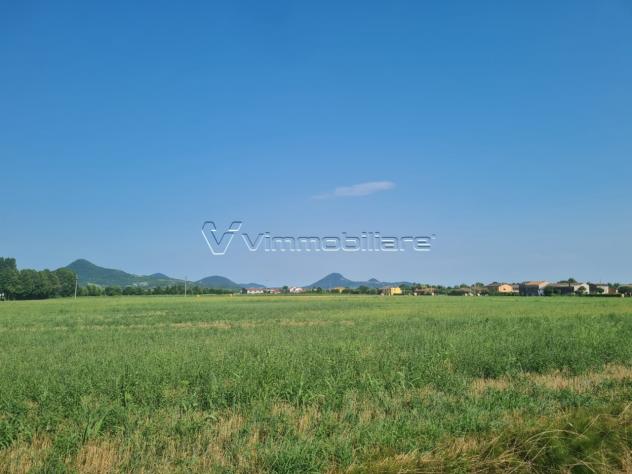 Seminativo in vendita a Noventa Vicentina - Foto 3