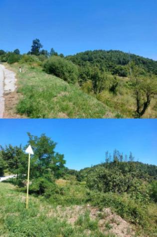 Immobile in asta di 10550 m² in vendita a Pietrabbondante - Foto 12