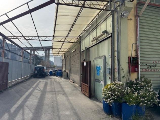 capannone in vendita a Camporosso