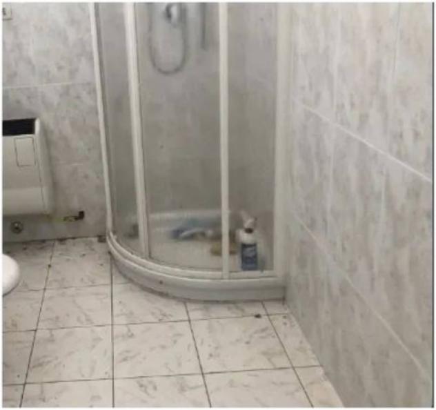 Immobile in asta di 5852 m² in vendita a Sissa Trecasali - Foto 2
