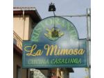 Albergo  La Mimosa
