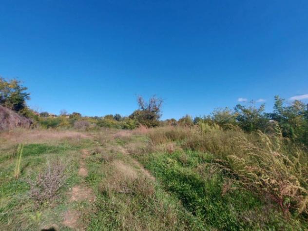Immobile in asta di 3640 m² in vendita a Artena - Foto 2