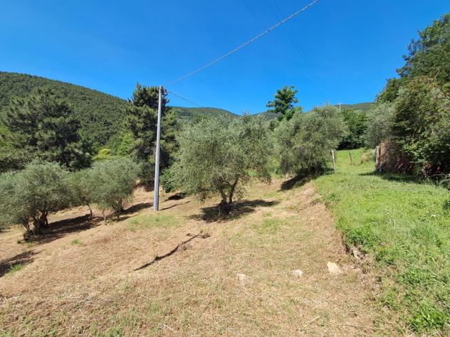 Rustico in vendita a Buti 202 mq Rif: 1419377 - Foto 10