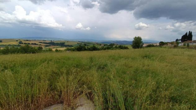 Immobile in asta di 17324 m² in vendita a Marsciano - Foto 2