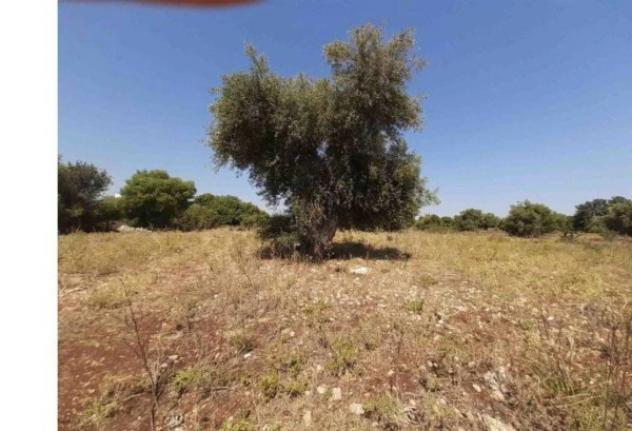Immobile in asta di 65302 m² in vendita a Melilli - Foto 6
