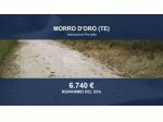 Immobile in asta di 9460 m² in vendita a Morro d'Oro
