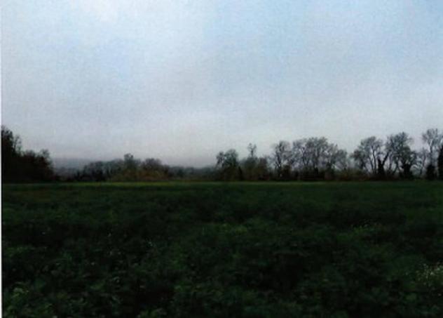 Immobile in asta di 70800 m² in vendita a Orte - Foto 3