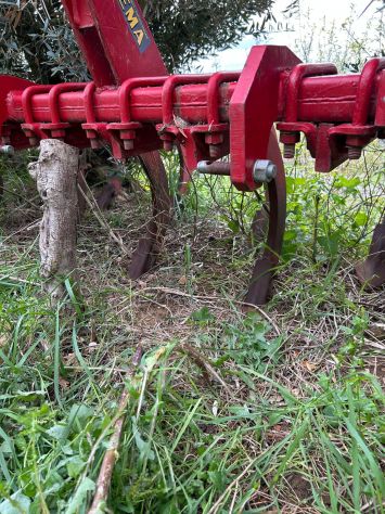 Estirpatore agricolo, tenuto in ottimo stato - Foto 3