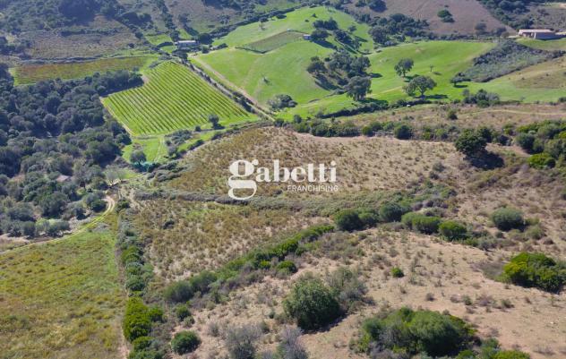 Terreno Residenziale - Budoni . Rif.: Cod. rif 3261193VRG - Foto 5