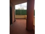 Appartamento in affitto a Riglione Oratoio - Pisa 90 mq  Rif: 880934