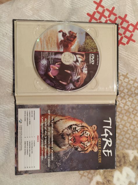 R64-  TIGRE DELLE PALUDI
