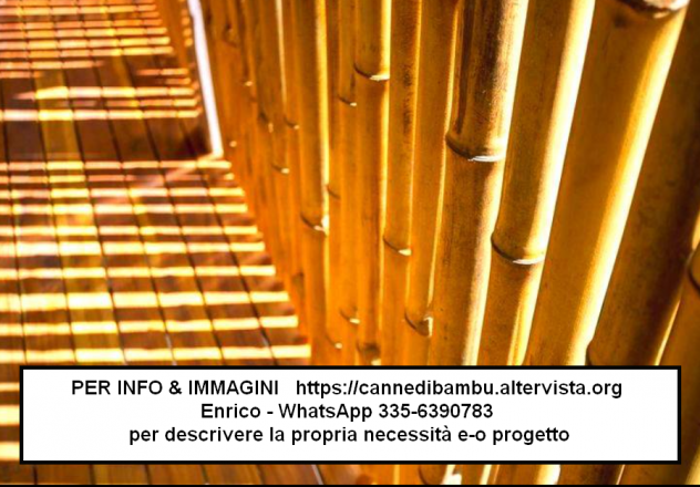 Canne di bambù bambu bamboo con diametro da 1 a 10 cm. - Foto 5