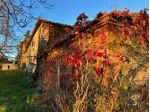 Casa singola in vendita a Siena 520 mq  Rif: 1295609