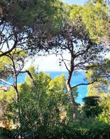 Castiglioncello in pineta alta vista mare - Foto 2