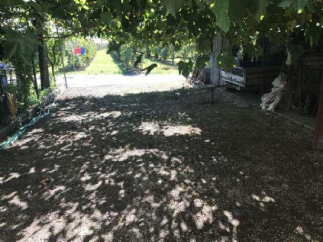 Terreno di 18000 m² in vendita a Carpi - Foto 9