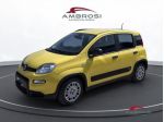 FIAT Panda 1.0 firefly hybrid s&s 70cv rif. 23998765