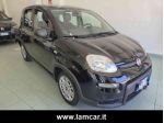FIAT Panda 1.0 FireFly S&S Hybrid rif. 23883919