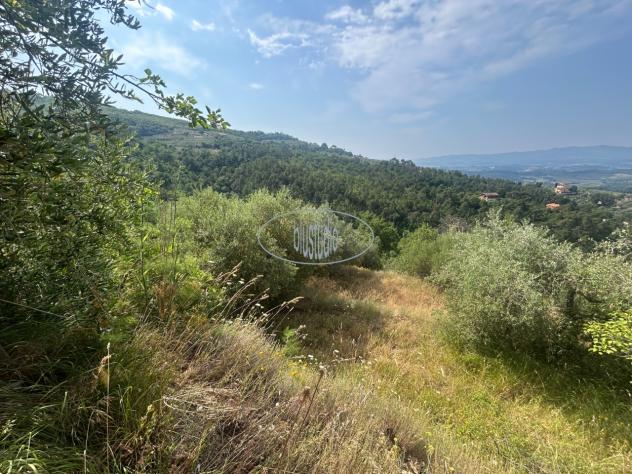 TERRENO AGRICOLO di 1 vani e di 22364 mq (CASTELFRANCO PIANDISCO' - certignano) rif. V-2360 - Foto 6