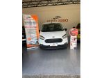 Ford Transit Courier 1.0 EcoBoost 100CV Van Trend