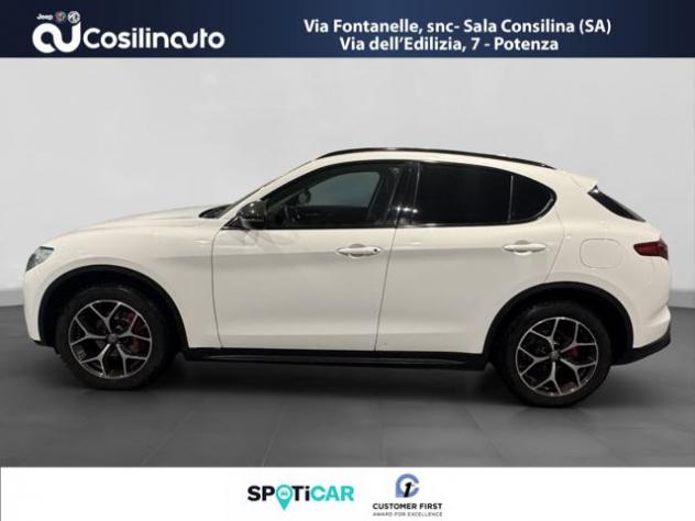 ALFA ROMEO Stelvio 2.2 Turbodiesel 190 CV AT8 Q4 Executive rif. 23225120 - Foto 2
